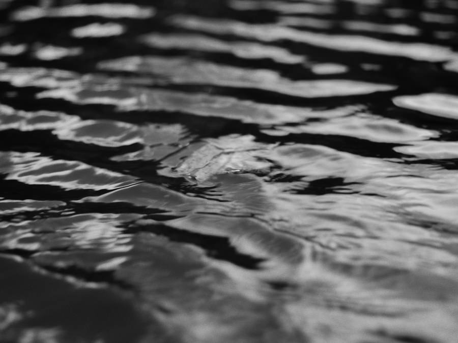 The Lake by Time Gerges The Lake by Time Gerges Vanity Teen 虚荣青年