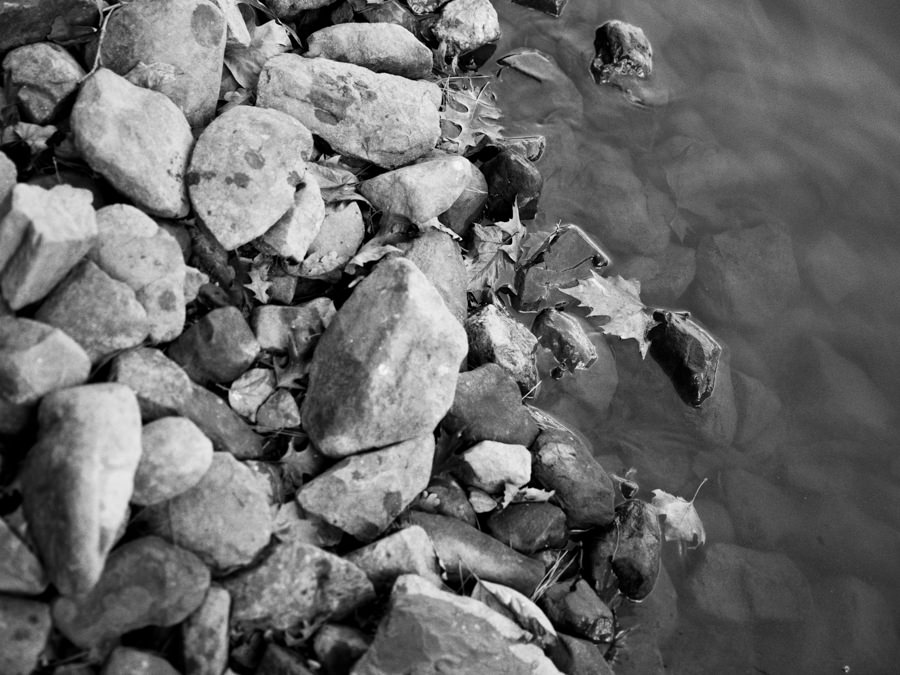 The Lake by Time Gerges The Lake by Time Gerges Vanity Teen 虚荣青年