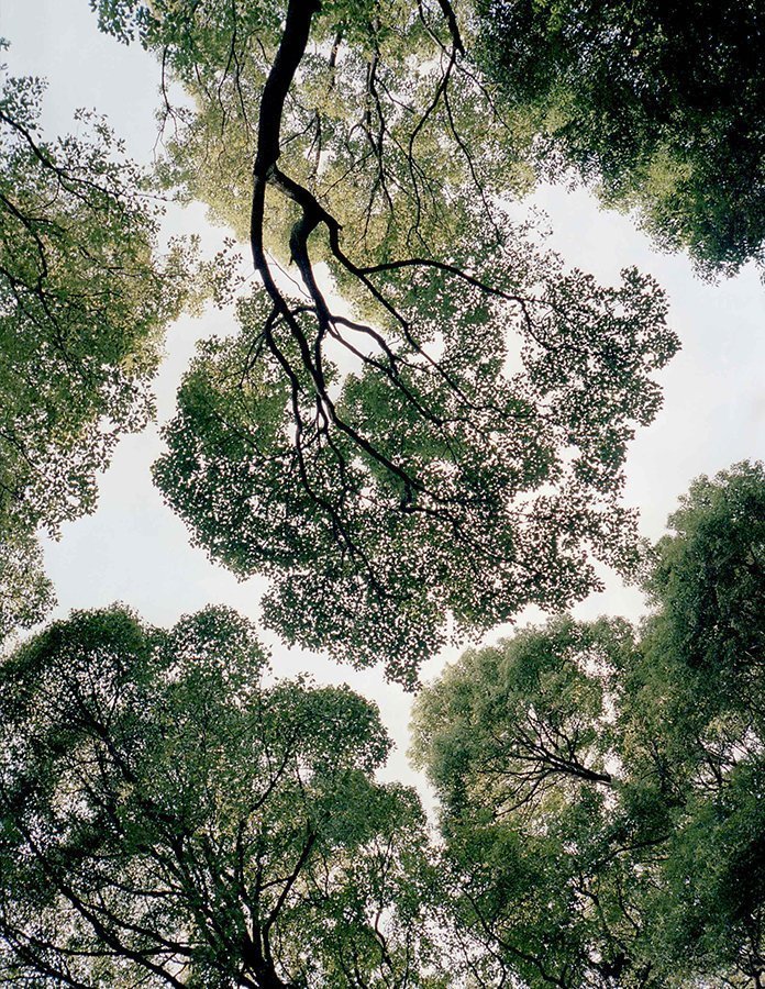 Yuna Mori by Anne Sophie Guillet Yuna Mori by Anne Sophie Guillet Vanity Teen 虚荣青年 Lifestyle & new faces magazine