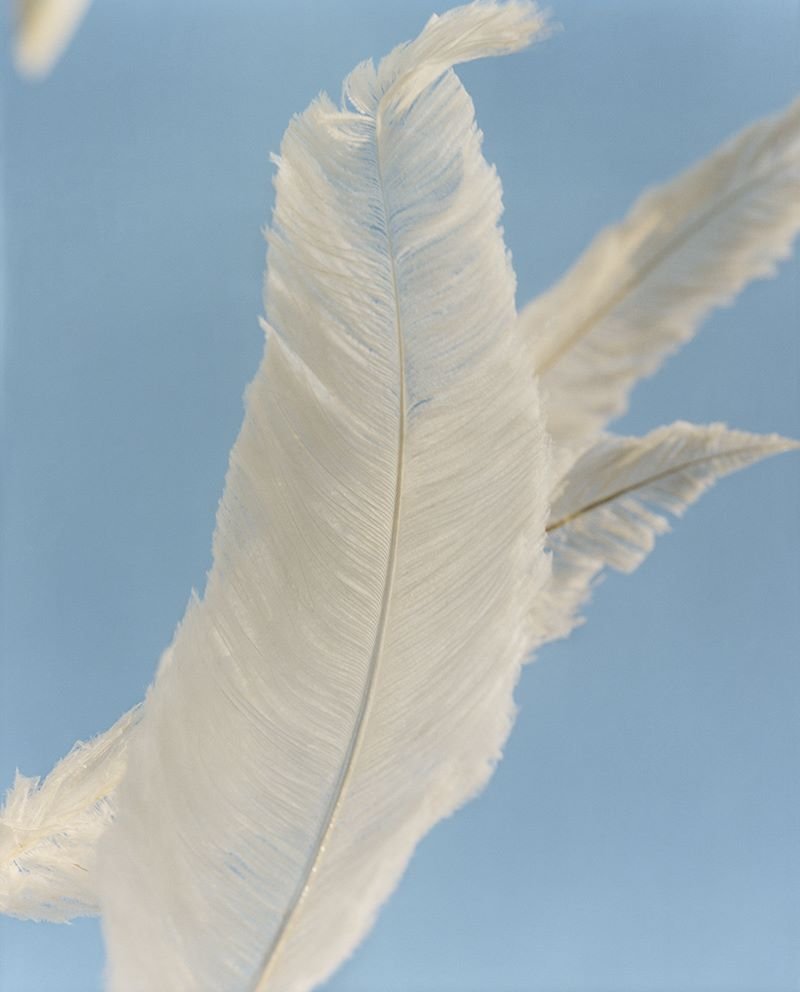 Loewe and Tyler Mitchell Collection Loewe and Tyler Mitchell Collection Vanity Teen 虚荣青年 Lifestyle & new faces magazine