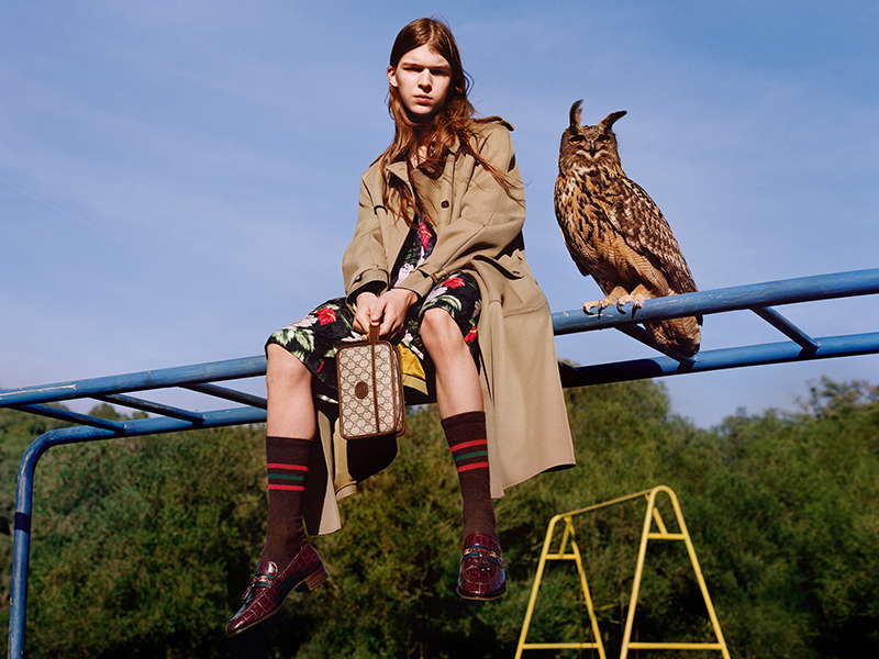 Pre-Fall 20 Gucci Campaign Pre-Fall 20 Gucci Campaign Vanity Teen 虚荣青年 Lifestyle & new faces magazine