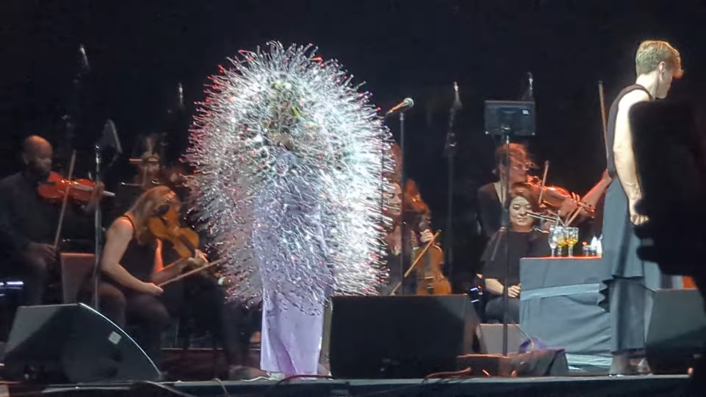 Björk Stuns Fans With Over 800 Drones In Coachella 2023 Performance Vanity Teen 虚荣青年 Lifestyle & New Faces Magazine - Vimarsana News