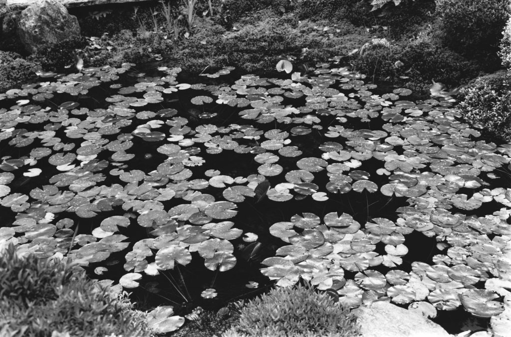 JIL SANDER's Kyoto Kiosk: A Pictorial Journey Through the Lens of Nikki McClarron Vanity Teen 虚荣青年 Lifestyle & new faces magazine JIL SANDER's Kyoto Kiosk: A Pictorial Journey Through the Lens of Nikki McClarron JIL SANDER's Kyoto Kiosk: A Pictorial Journey Through the Lens of Nikki McClarron Vanity Teen 虚荣青年 Lifestyle & new faces magazine