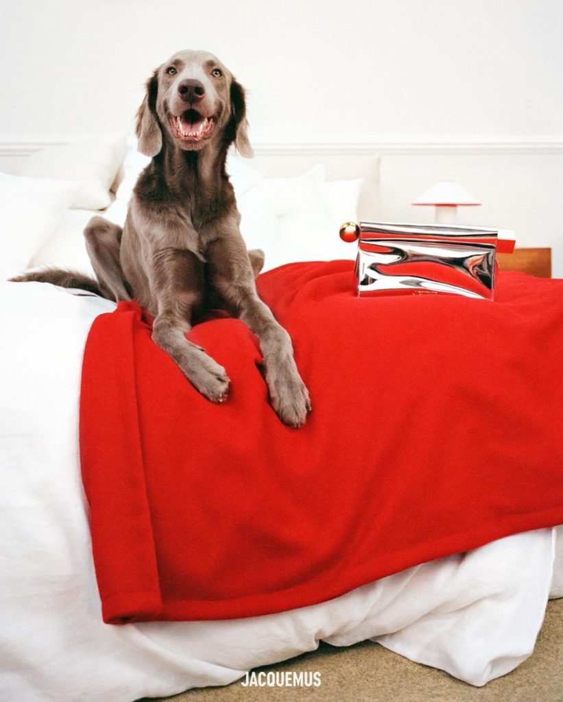 Jennie of Blackpink Stars in JACQUEMUS GUIRLANDE Holiday Collection Campaign Jennie of Blackpink Stars in JACQUEMUS GUIRLANDE Holiday Collection Campaign Vanity Teen 虚荣青年 Lifestyle & new faces magazine