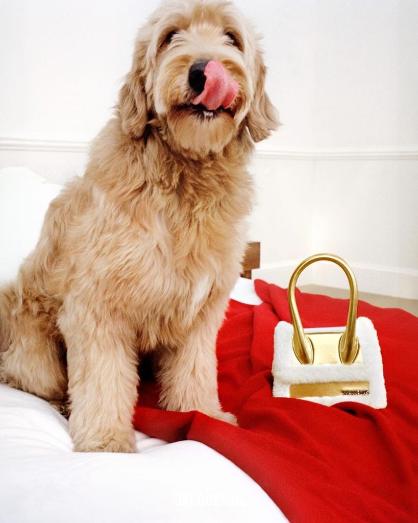 Jennie of Blackpink Stars in JACQUEMUS GUIRLANDE Holiday Collection Campaign Jennie of Blackpink Stars in JACQUEMUS GUIRLANDE Holiday Collection Campaign Vanity Teen 虚荣青年 Lifestyle & new faces magazine