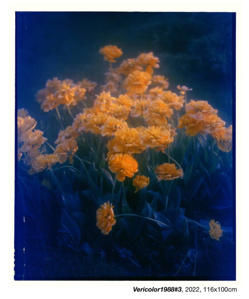 At the Crossroads of Memory and Modernity - A Conversation with Bulat Arslanov  and Julia Radovich on Art, Time, and the Poetics of Memory At the Crossroads of Memory and Modernity - A Conversation with Bulat Arslanov  and Julia Radovich on Art, Time, and the Poetics of Memory Vanity Teen 虚荣青年 Lifestyle & new faces magazine