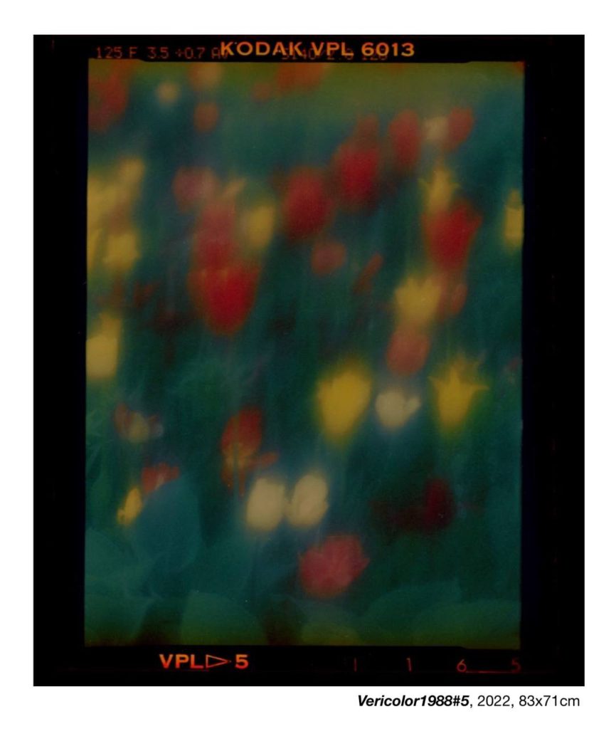 At the Crossroads of Memory and Modernity - A Conversation with Bulat Arslanov  and Julia Radovich on Art, Time, and the Poetics of Memory At the Crossroads of Memory and Modernity - A Conversation with Bulat Arslanov  and Julia Radovich on Art, Time, and the Poetics of Memory Vanity Teen 虚荣青年 Lifestyle & new faces magazine