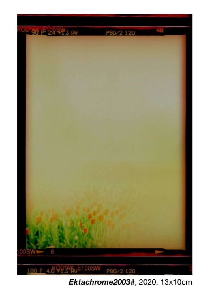 At the Crossroads of Memory and Modernity - A Conversation with Bulat Arslanov  and Julia Radovich on Art, Time, and the Poetics of Memory At the Crossroads of Memory and Modernity - A Conversation with Bulat Arslanov  and Julia Radovich on Art, Time, and the Poetics of Memory Vanity Teen 虚荣青年 Lifestyle & new faces magazine