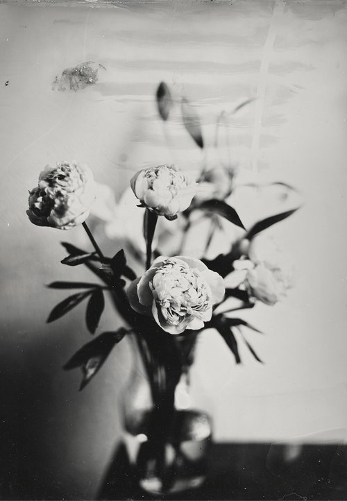 Capturing Culture and Time: Rocío Aguirre Venegas’s Vision Through the Lens Capturing Culture and Time: Rocío Aguirre Venegas’s Vision Through the Lens Vanity Teen 虚荣青年 Lifestyle & new faces magazine