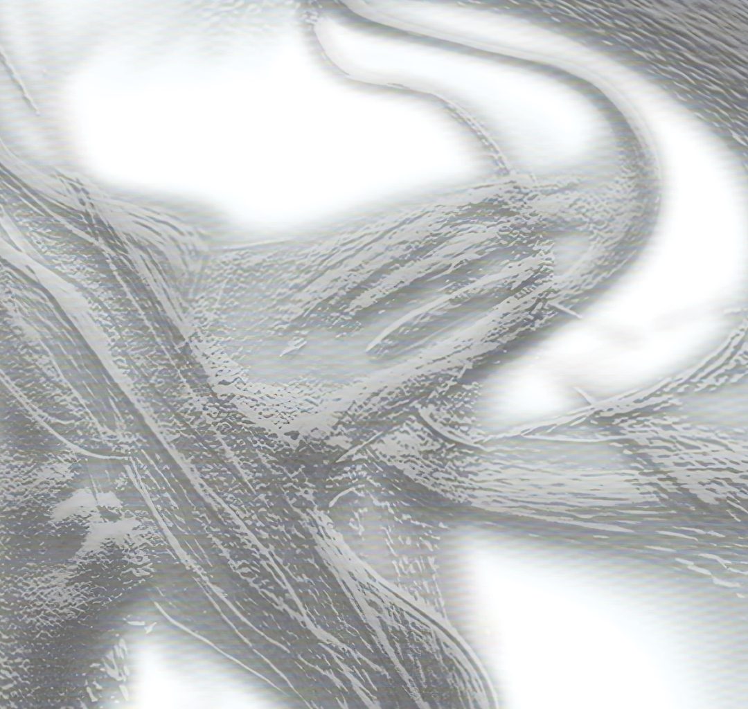 Emerging artist Joshua Abramovich introduces PNEUMA, his last exhibition at MUON in Seoul. Vanity Teen 虚荣青年 Lifestyle & new faces magazine Emerging artist Joshua Abramovich introduces PNEUMA, his last exhibition at MUON in Seoul. Emerging artist Joshua Abramovich introduces PNEUMA, his last exhibition at MUON in Seoul. Vanity Teen 虚荣青年 Lifestyle & new faces magazine