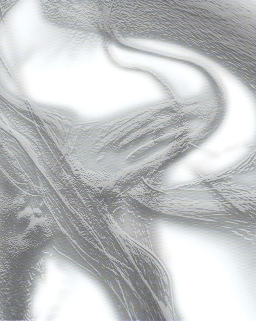 Emerging artist Joshua Abramovich introduces PNEUMA, his last exhibition at MUON in Seoul. Vanity Teen 虚荣青年 Lifestyle & new faces magazine Emerging artist Joshua Abramovich introduces PNEUMA, his last exhibition at MUON in Seoul. Emerging artist Joshua Abramovich introduces PNEUMA, his last exhibition at MUON in Seoul. Vanity Teen 虚荣青年 Lifestyle & new faces magazine