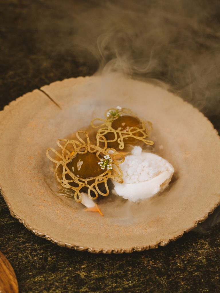 Reimagining Pur’: The Renaissance of Park Hyatt Paris-Vendôme's Culinary Gem Reimagining Pur’: The Renaissance of Park Hyatt Paris-Vendôme's Culinary Gem Vanity Teen 虚荣青年 Lifestyle & new faces magazine