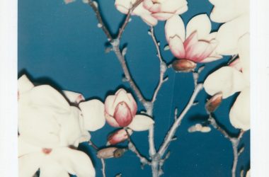 Andy Warhol + Études Studio for the SS25 Collection Andy Warhol + Études Studio for the SS25 Collection Vanity Teen 虚荣青年 Lifestyle & new faces magazine