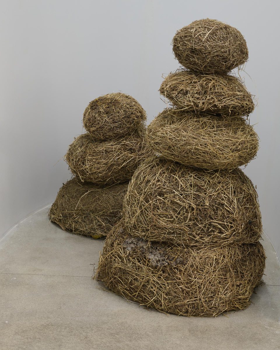 Rier featured at Dover Street Market for Art Basel Paris Rier featured at Dover Street Market for Art Basel Paris Vanity Teen 虚荣青年 Lifestyle & new faces magazine