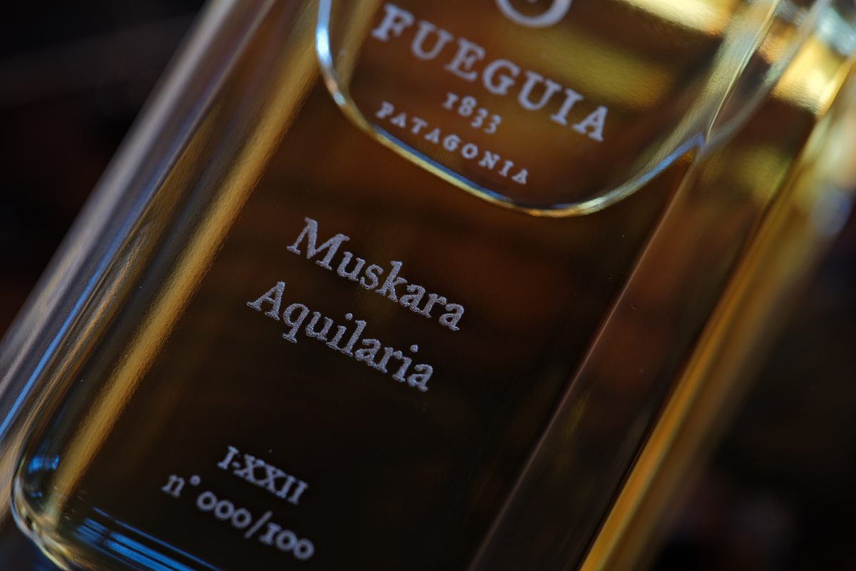 Fueguia 1833 Opens Its First Vintage Gallery in London Vanity Teen 虚荣青年 Lifestyle & new faces magazine Fueguia 1833 Opens Its First Vintage Gallery in London Fueguia 1833 Opens Its First Vintage Gallery in London Vanity Teen 虚荣青年 Lifestyle & new faces magazine