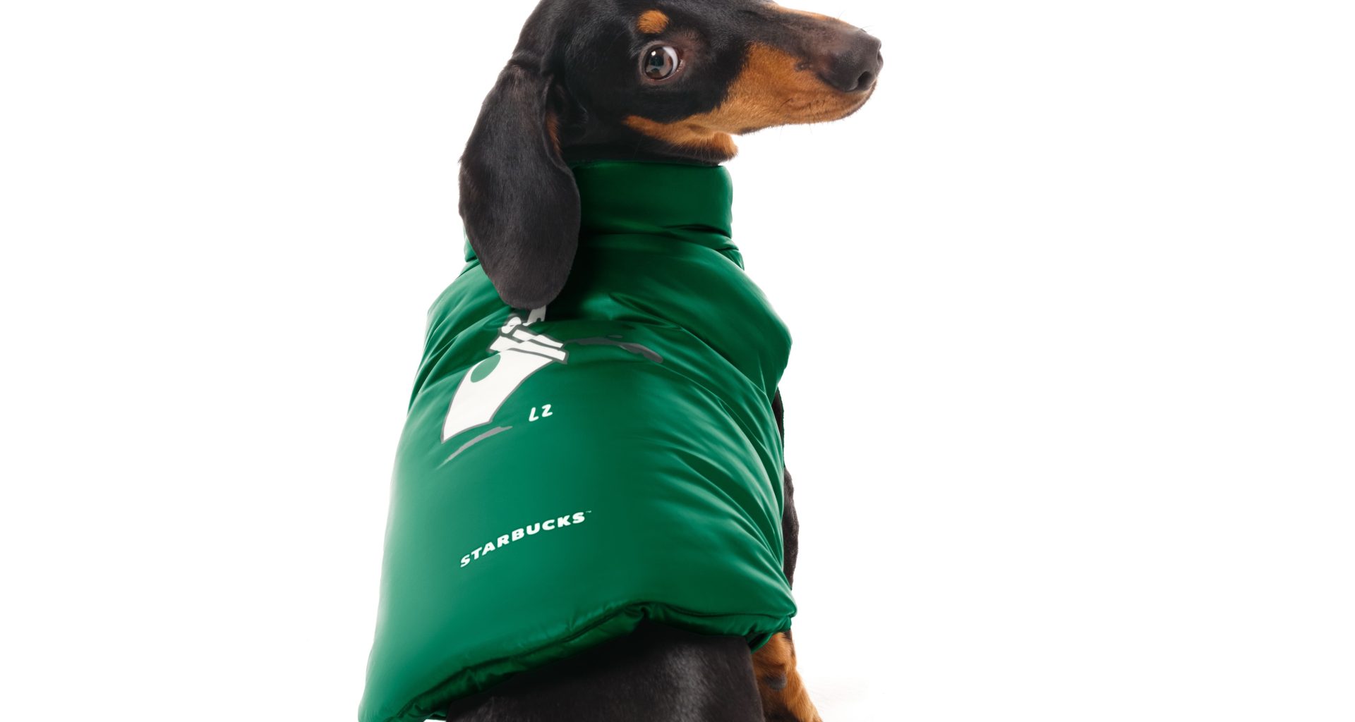 Starbucks presents The House of Coffee Starbucks presents The House of Coffee Vanity Teen 虚荣青年 Lifestyle & new faces magazine