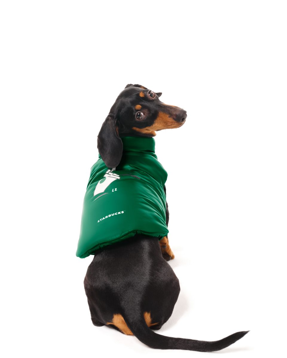 Starbucks presents The House of Coffee Starbucks presents The House of Coffee Vanity Teen 虚荣青年 Lifestyle & new faces magazine