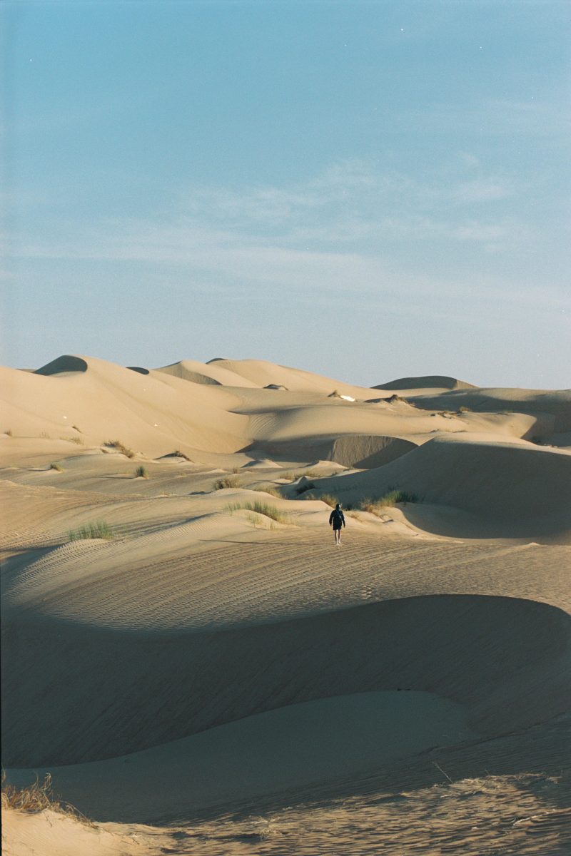 ROA SS26: Navigating the Edge of the Unknown ROA SS26: Navigating the Edge of the Unknown Vanity Teen 虚荣青年 Lifestyle & new faces magazine