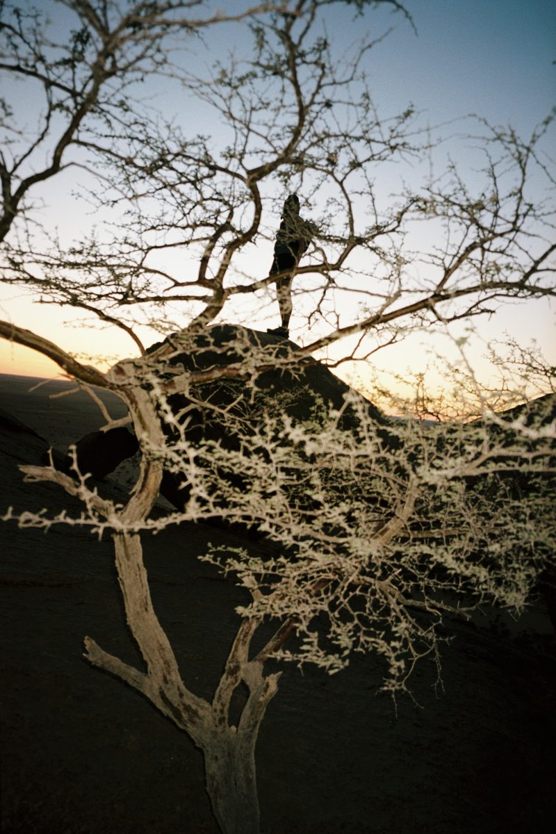 ROA SS26: Navigating the Edge of the Unknown ROA SS26: Navigating the Edge of the Unknown Vanity Teen 虚荣青年 Lifestyle & new faces magazine