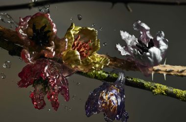 TÉTIER AND LA MANSO RETURN TO THEIR PLASTIC FANTASY TÉTIER AND LA MANSO RETURN TO THEIR PLASTIC FANTASY Vanity Teen 虚荣青年