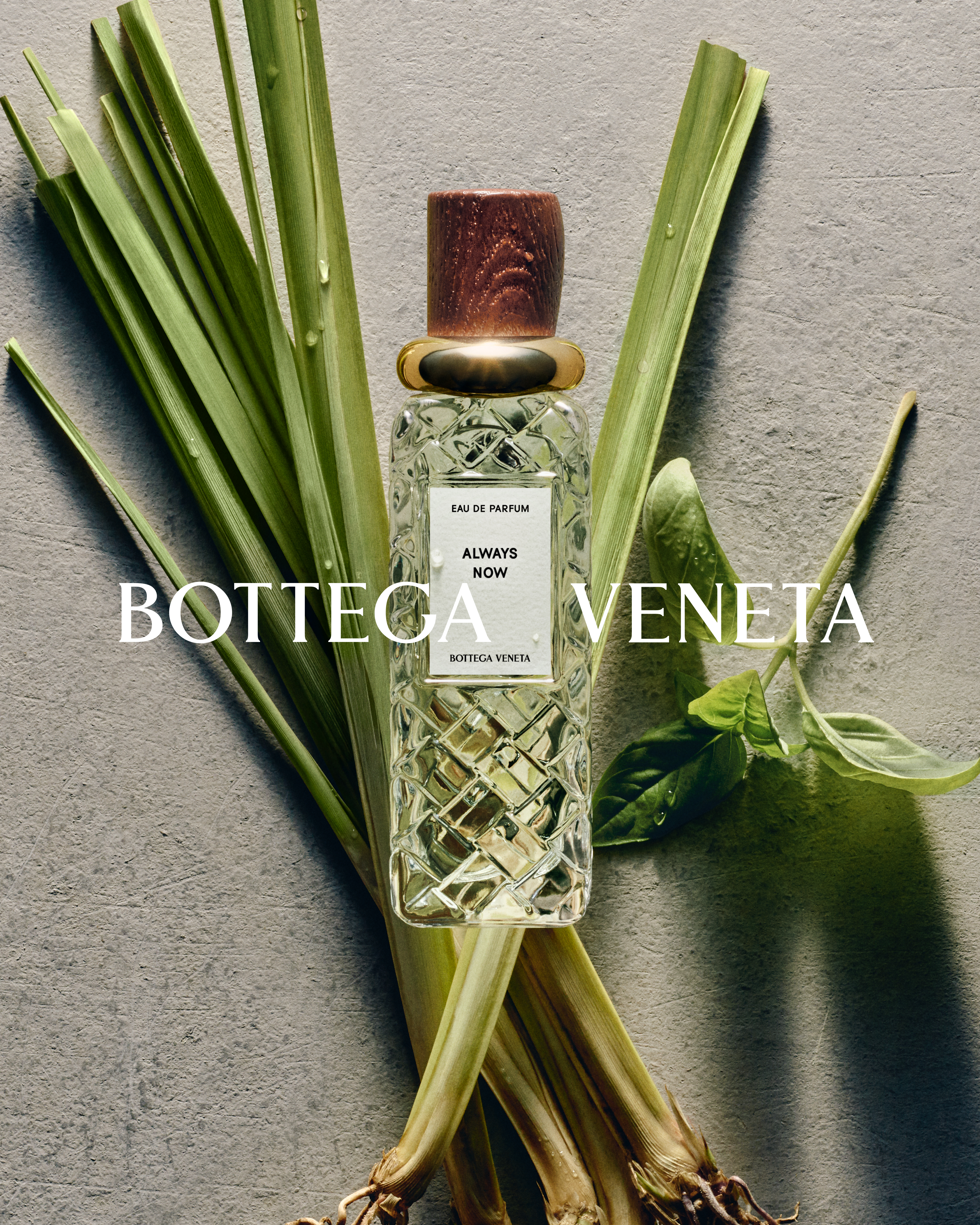 BOTTEGA VENETA IS SMELLING ITALY AGAIN Vanity Teen 虚荣青年 BOTTEGA VENETA IS SMELLING ITALY AGAIN BOTTEGA VENETA IS SMELLING ITALY AGAIN Vanity Teen 虚荣青年