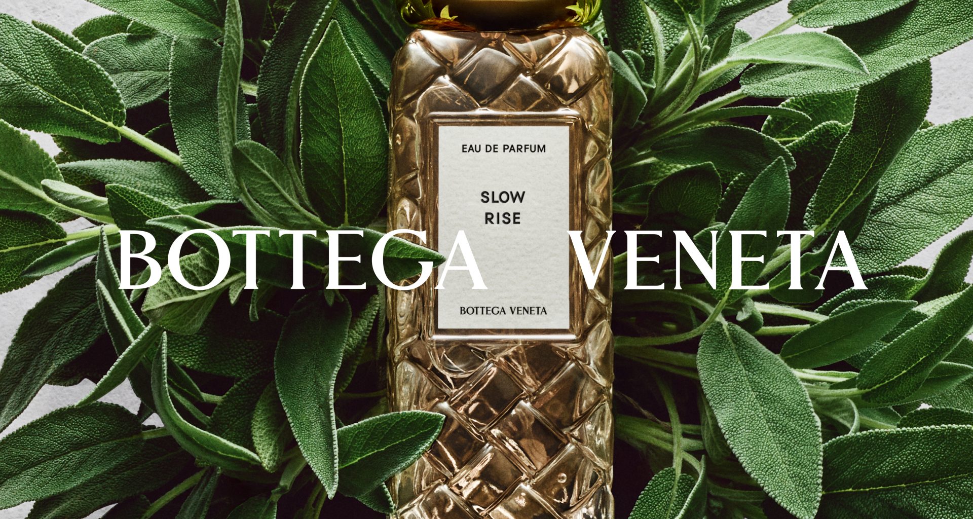BOTTEGA VENETA IS SMELLING ITALY AGAIN BOTTEGA VENETA IS SMELLING ITALY AGAIN Vanity Teen 虚荣青年