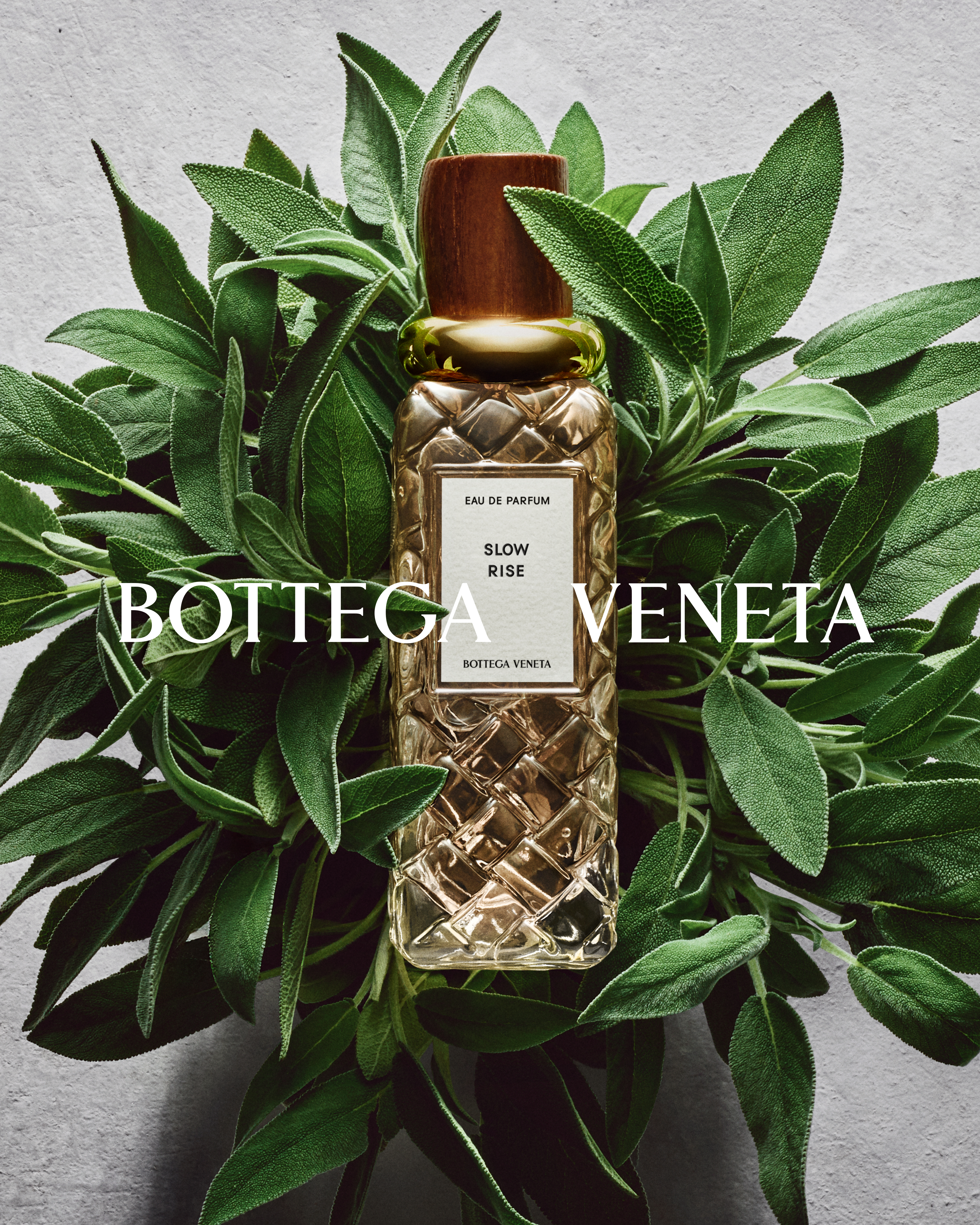 BOTTEGA VENETA IS SMELLING ITALY AGAIN BOTTEGA VENETA IS SMELLING ITALY AGAIN Vanity Teen 虚荣青年