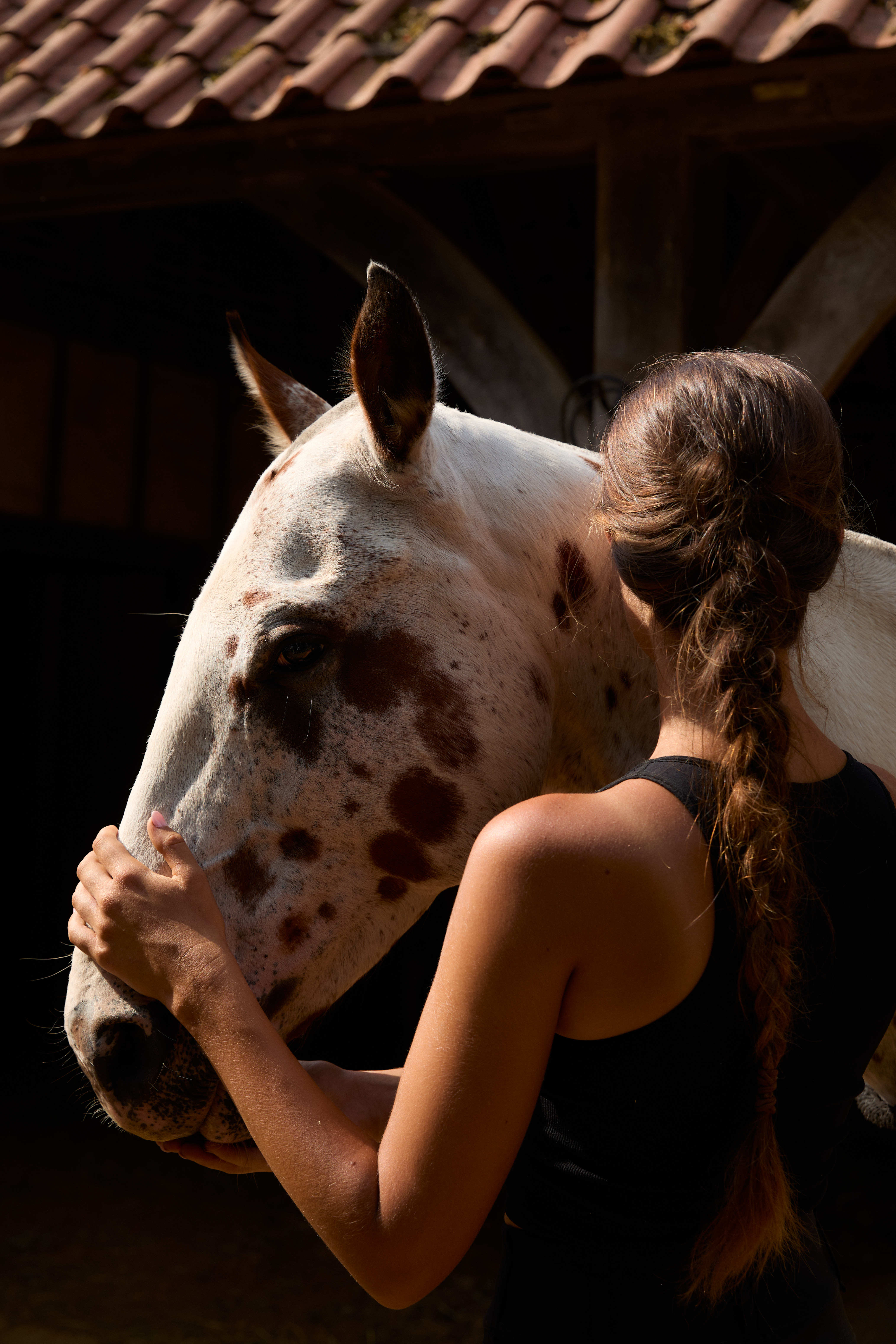 How Stella McCartney's Horses Are Redefining Fashion Vanity Teen 虚荣青年 How Stella McCartney's Horses Are Redefining Fashion How Stella McCartney's Horses Are Redefining Fashion Vanity Teen 虚荣青年