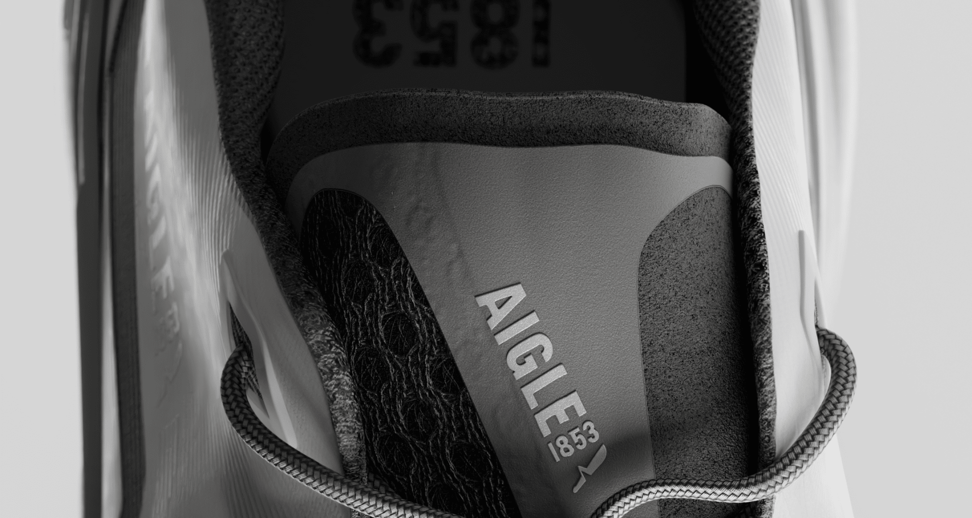 AIGLE_916