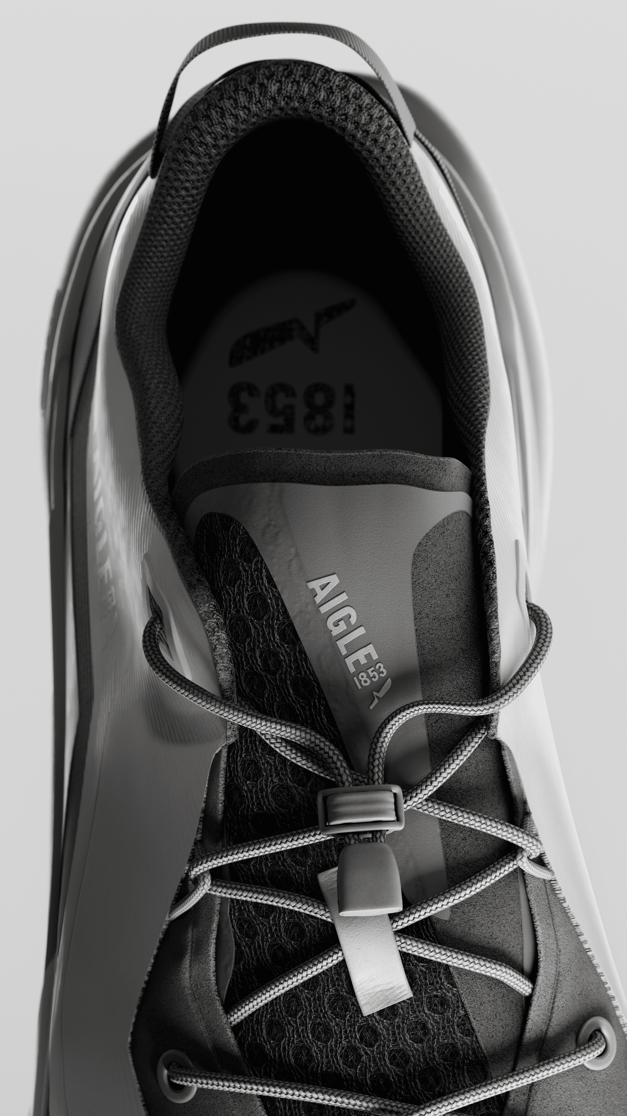 AIGLE_916