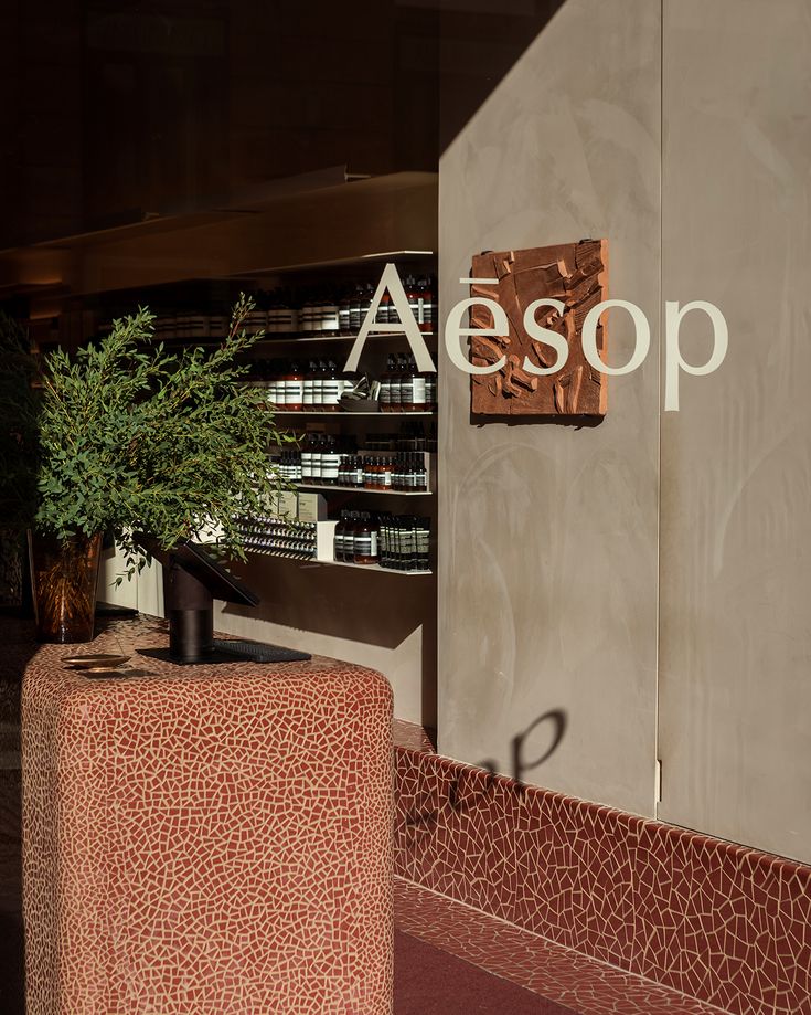 Aesop Store