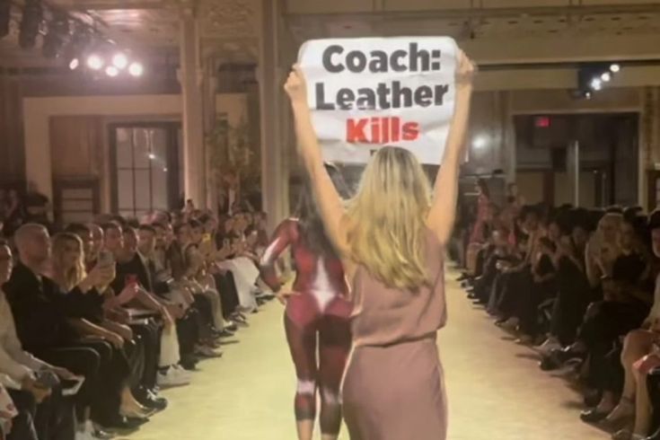 COS at NYFW: CFDA Chief Steven Kolb Gets Physical With PETA Protesters COS at NYFW: CFDA Chief Steven Kolb Gets Physical With PETA Protesters Vanity Teen 虚荣青年