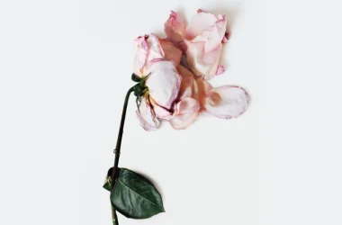 LANCÔME PUTS WOMEN’S MENTAL HEALTH IN FOCUS WITH “I’M FINE” LANCÔME PUTS WOMEN’S MENTAL HEALTH IN FOCUS WITH “I’M FINE” Vanity Teen