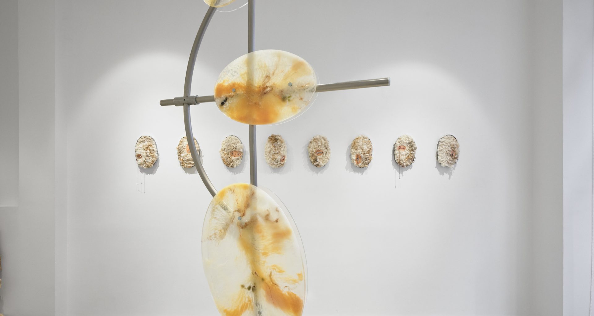 KiefferWoodtli Bring AXES:TOTUM to Paris to Challenge the Human Obsession With Control KiefferWoodtli Bring AXES:TOTUM to Paris to Challenge the Human Obsession With Control Vanity Teen