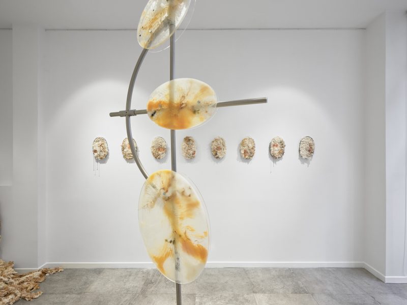 KiefferWoodtli Bring AXES:TOTUM to Paris to Challenge the Human Obsession With Control KiefferWoodtli Bring AXES:TOTUM to Paris to Challenge the Human Obsession With Control Vanity Teen