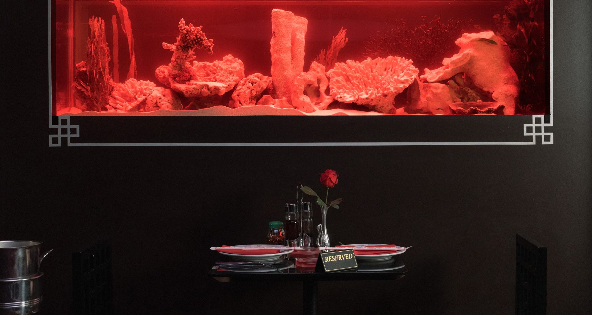 Le Poisson Volant Is Paris’s New Dinner-to-Disco Obsession Le Poisson Volant Is Paris’s New Dinner-to-Disco Obsession Vanity Teen