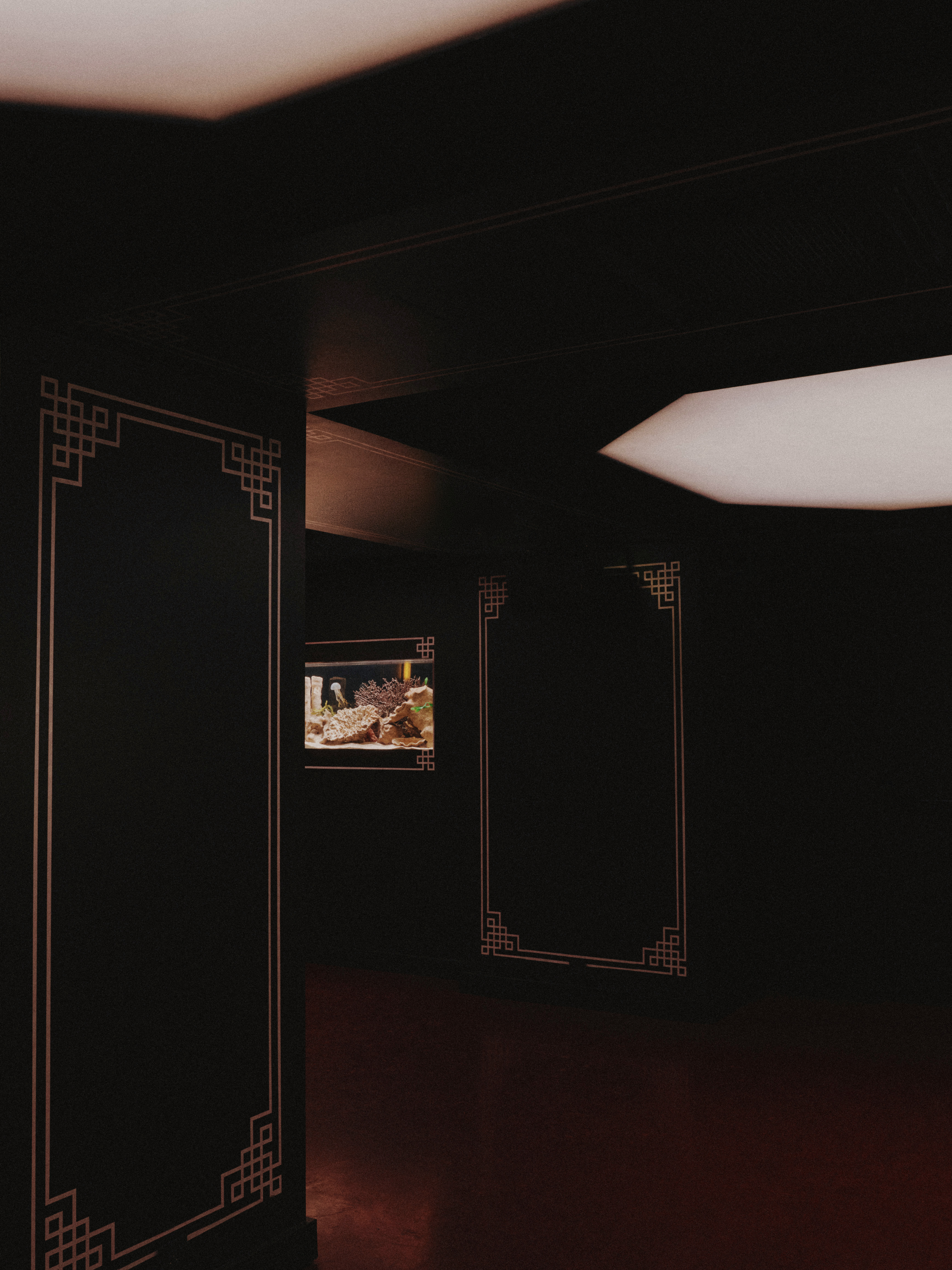 Le Poisson Volant Is Paris’s New Dinner-to-Disco Obsession Vanity Teen Le Poisson Volant Is Paris’s New Dinner-to-Disco Obsession Le Poisson Volant Is Paris’s New Dinner-to-Disco Obsession Vanity Teen
